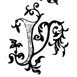 Foliate P