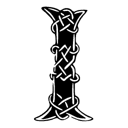 Knotwork I