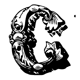 Foliate C 01