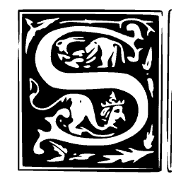 Beast S panel
