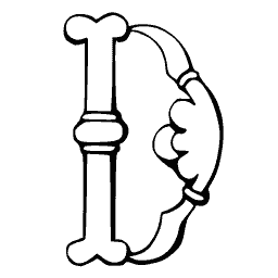 Bone D
