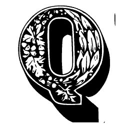 Floral Q