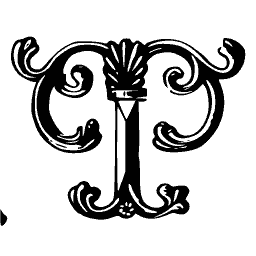 Fan-topped T