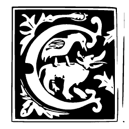 Beast C panel
