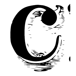 Solid C