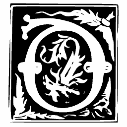 Foliate O panel 06