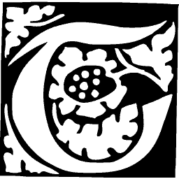 Foliate initial T 01