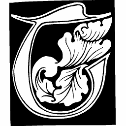 Acanthus initial G