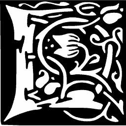 Tulip initial E