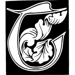Acanthus initial T 02