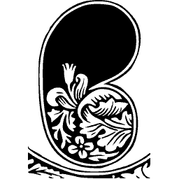 Lily initial B