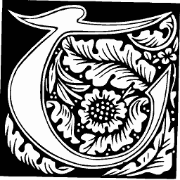 Foliate initial C 02