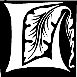 Foliate initial N 02