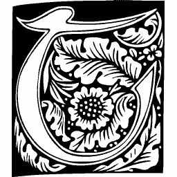 Foliate initial C 04