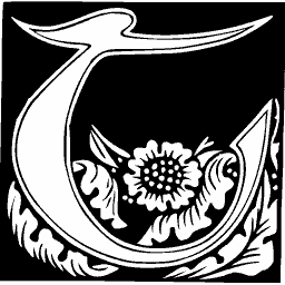 Foliate initial C 05