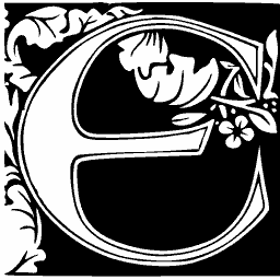 Foliate initial E 02