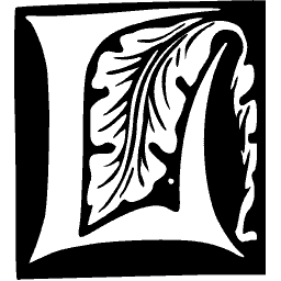 Foliate initial D 04