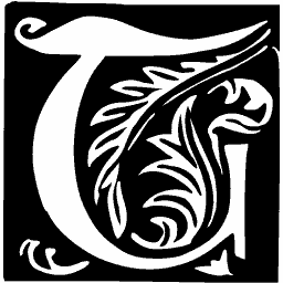 Foliate initial T 13