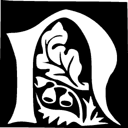 Foliate initial D 07