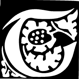 Foliate initial C 17