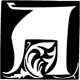 Foliate initial T 24