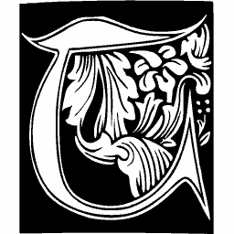Foliate initial U 25