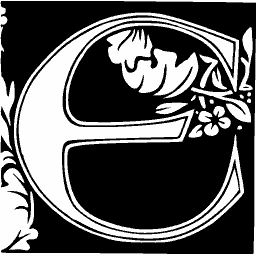 Foliate initial E 06