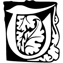 Foliate initial U 27