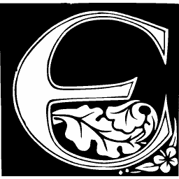 Foliate initial E 07