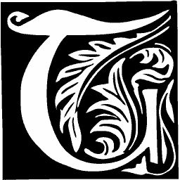 Foliate initial C 29