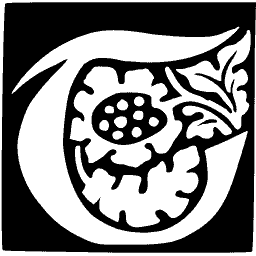 Foliate initial C 33