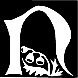 Foliate initial N 15