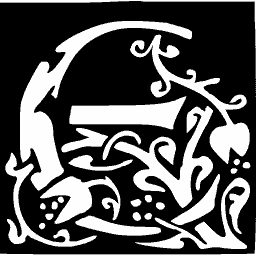 Foliate initial E 08