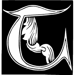 Foliate initial C 41