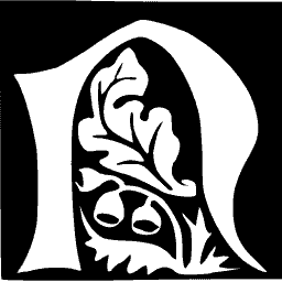 Foliate initial N 17