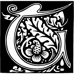 Foliate initial C 51