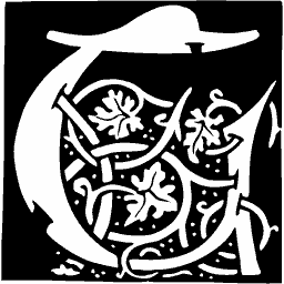 Foliate initial C 62