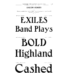 Salem series specimen