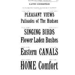Latin condensed specimen