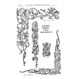 Vine page border