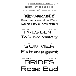 Extended gothic specimen