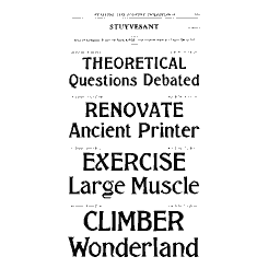 Stuyvesant series specimen