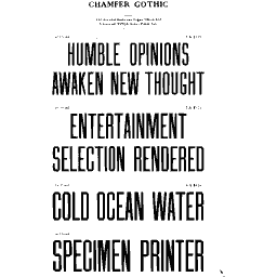 Chamfer gothic specimen