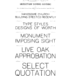 Skeleton gothic specimen