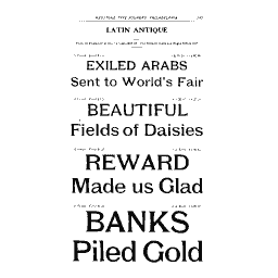 Latin antique specimen