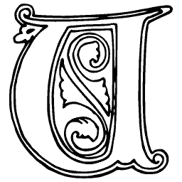 Foliate U