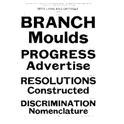 Bold Grotesque specimen