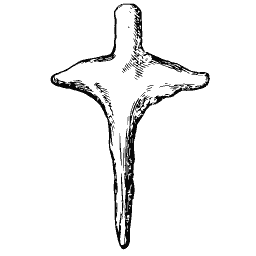 Vertebra with a tall spine