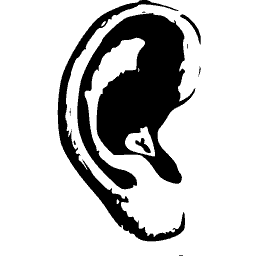 Outer ear