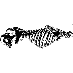 Ribcage from the side